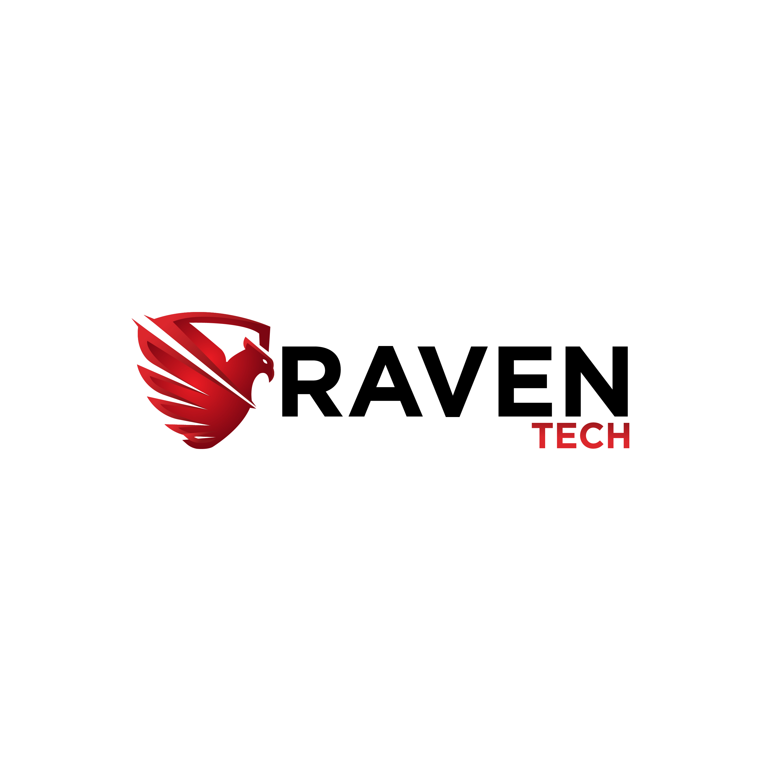 Raven Tech LLC